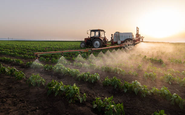 Best Pest Prevention Services  in Dawson, TX