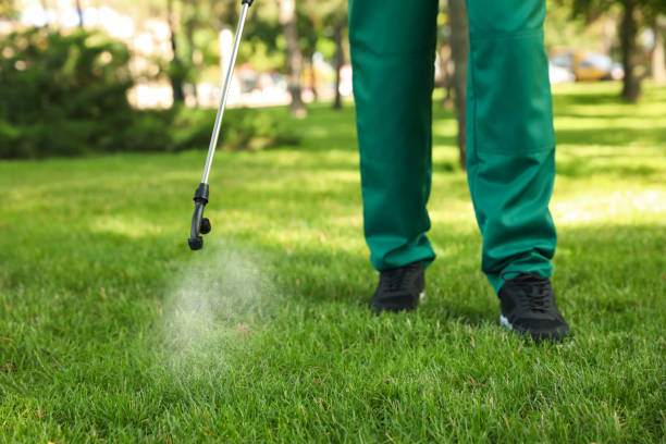 Best Affordable Pest Control Services  in Dawson, TX