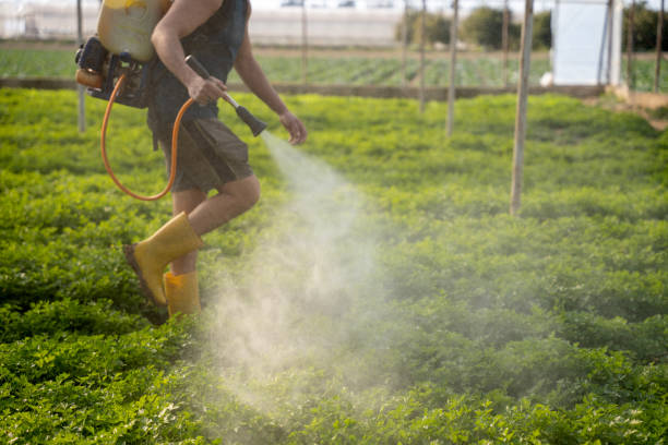 Best Emergency Pest Control  in Dawson, TX