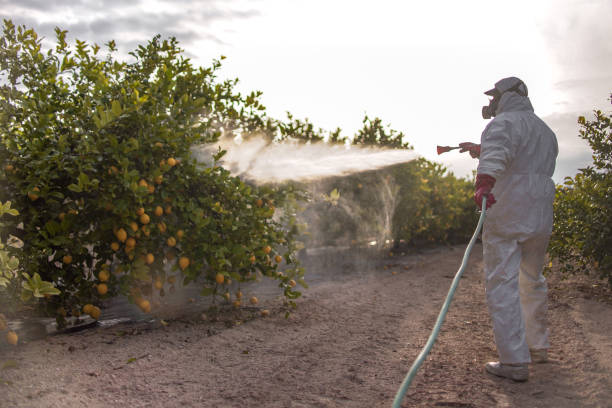Insect Control in Dawson, TX