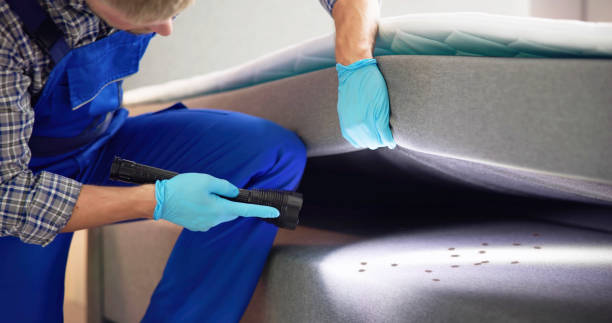 Best Pest Inspection Near Me  in Dawson, TX