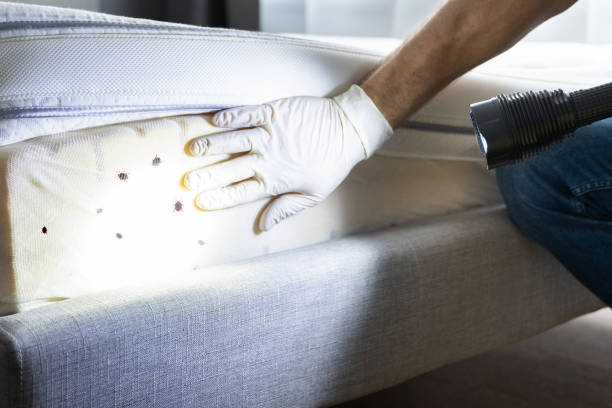 Best Best Pest Control Companies  in Dawson, TX