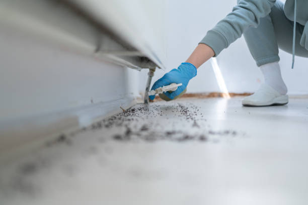 Best Pest Prevention Services  in Dawson, TX