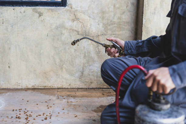 Best Flea Control Services  in Dawson, TX