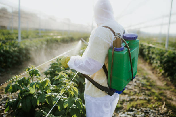 Best Commercial Pest Control Services  in Dawson, TX